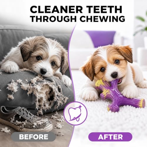 Frienhund Pet Toy in Small, Purple(Small)