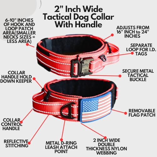 DEZIZEUSK9 Animal Collar in 16-25 INCH, ORANGE-COBVEL2