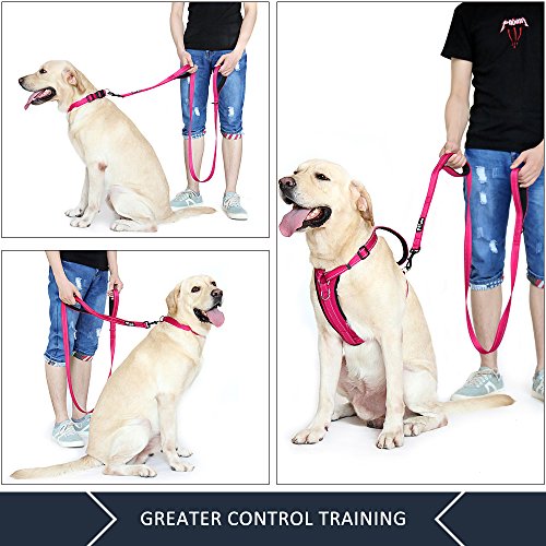 PLUTUS PET Leash in 4 FT, Pink