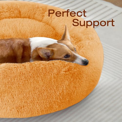 JOLLYVOGUE Pet Bed Mat in 20", Orange