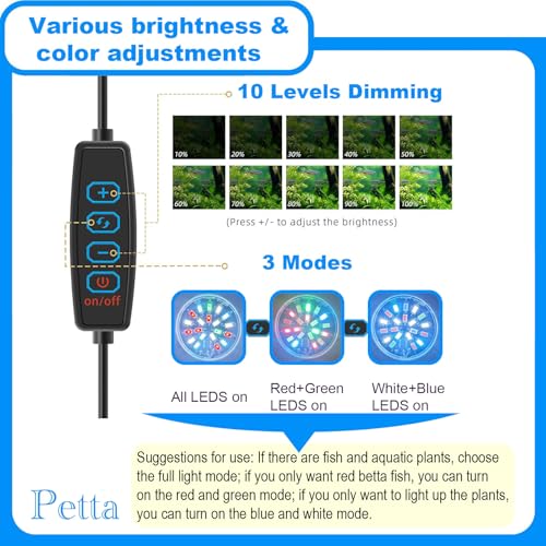 Petta Lamp in Black