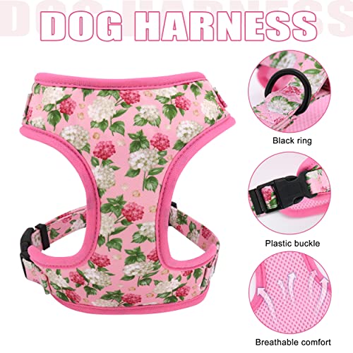 Beirui Animal Harness in XS:Fit 6-12 lbs, Pink-1