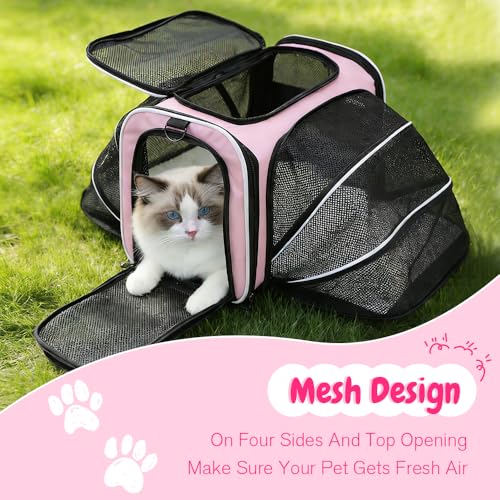 Srinlon ㅤ Animal Carrier in 18.0"L x 11.0"W x 11.0"H, Pink