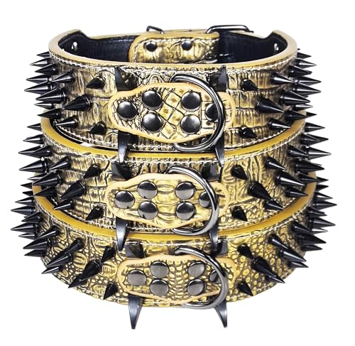 Kawagogo Animal Collar in Width:2'' Adjust:17''-20'', Gold