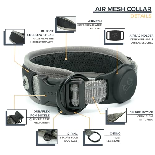 WaggyLife Animal Collar in XS (11.8"-13.8"), Grey