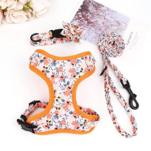Beirui Animal Harness in XXS:Fit 2-6 lbs, Orange