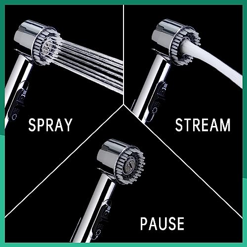 V-Frankness Showerhead in 78 Inches Hose, Polished Chrome