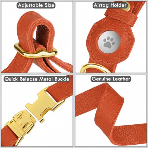 BUDKAS Animal Collar in XS, 9"-12" Neck Fit, Orange