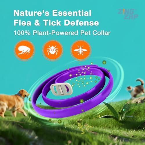 ZingZap Pet Pest Control in Purple