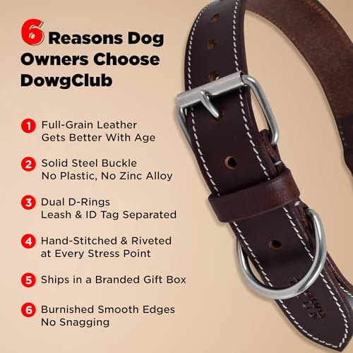 DowgClub Animal Collar in S (11"-14"), Rustic Brown
