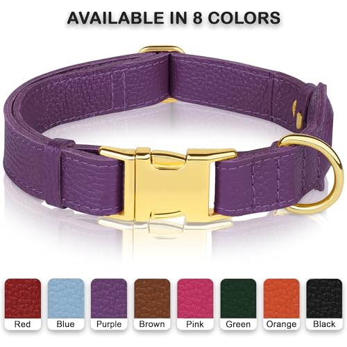 BUDKAS Animal Collar in XS, 9"-12" Neck Fit, Purple