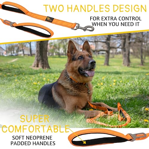 ADITYNA Leash in 6ft-7.5ft, Orange