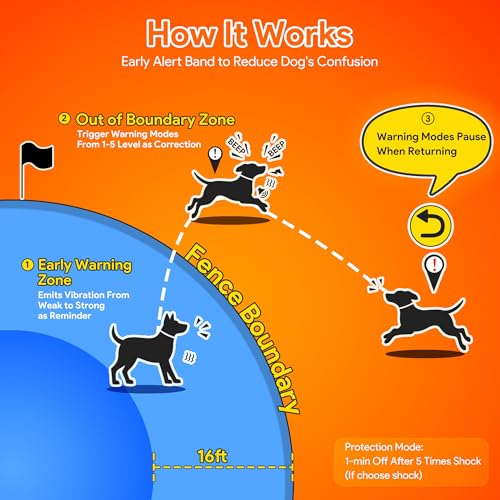 Meowant Animal Collar in Medium/Large, Orange