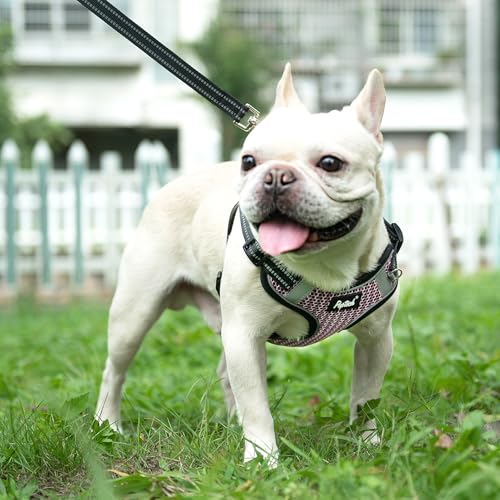 PUPTECK Animal Harness in M (17-25lbs, Chest 17"-21"), #1 LightPink(Breathable Mesh)