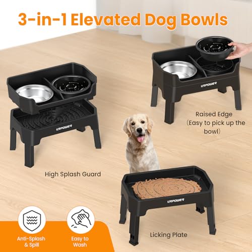 URPOWER Pet Feeder in Large, Matte Black