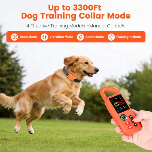 Pawton Animal Collar in Medium, Large, Orange for 1 Dog
