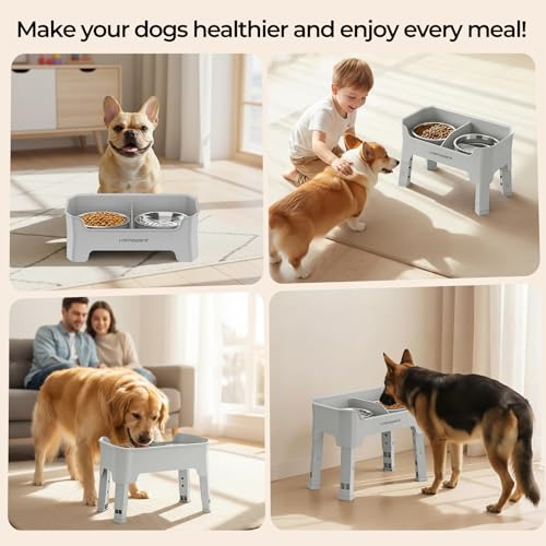 URPOWER Pet Feeder in Medium, Light Grey