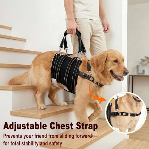 CWV Animal Harness in Large, Black