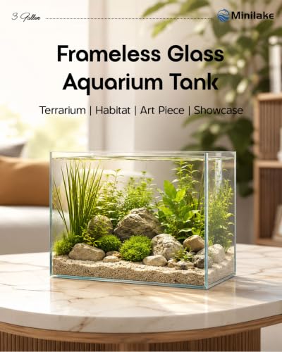 minilake Vivarium in 3 Gallon, Transparent