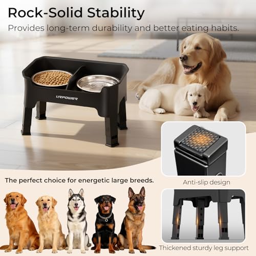 URPOWER Pet Feeder in Medium, Black