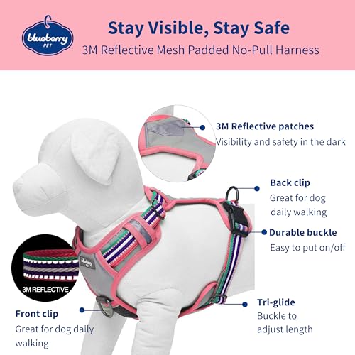 Blueberry Pet Animal Harness in Small, Pink, Emerald and Orchid