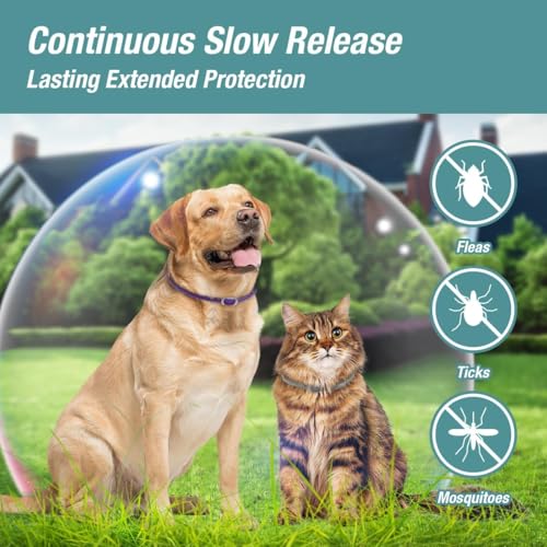 ZingZap Pet Pest Control in Grey