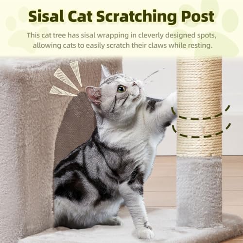 Taoqimiao Pet Activity Structure in L, Light Gray