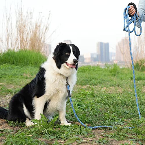 NTR Leash in 15ft*1/2", Blue
