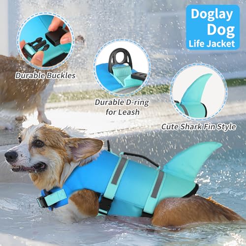 Doglay Pet Apparel in Medium, Gradient Blue