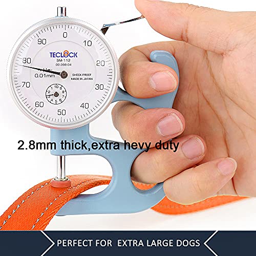 PLUTUS PET Leash in 4 FT, Orange