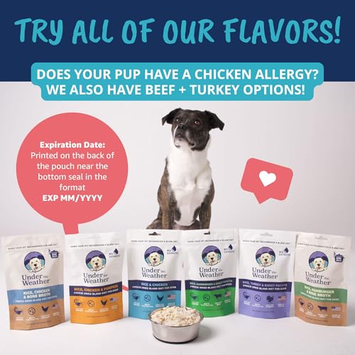 Under the Weather Pet Food in 6 Ounce (Pack of 1)