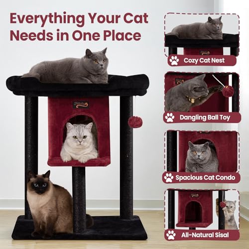 Feliskyn Pet Activity Structure in 28 Inches, Black