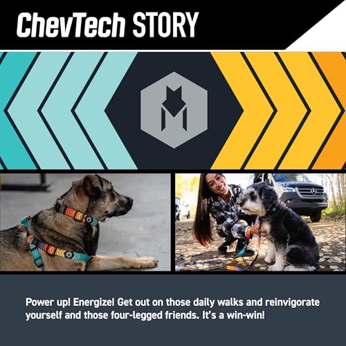 Wolfgang Man & Beast Animal Collar in Small (5/8 Inch x 8-12 Inch), ChevTech Print
