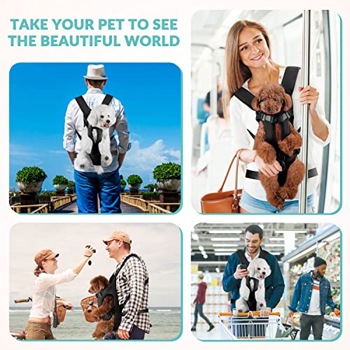 Lukovee Animal Carrier in Small, Black