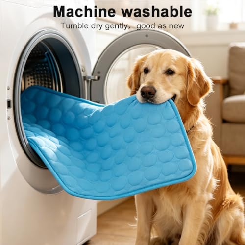 MeiLiMiYu Pet Bed Mat in 16x12 in, Blue