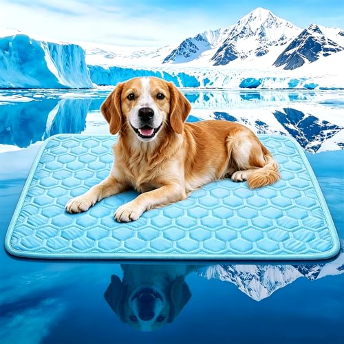 dgdgbaby Pet Bed Mat in Large, Blue