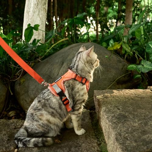 pangdi Pet Supplies in Small, Orange