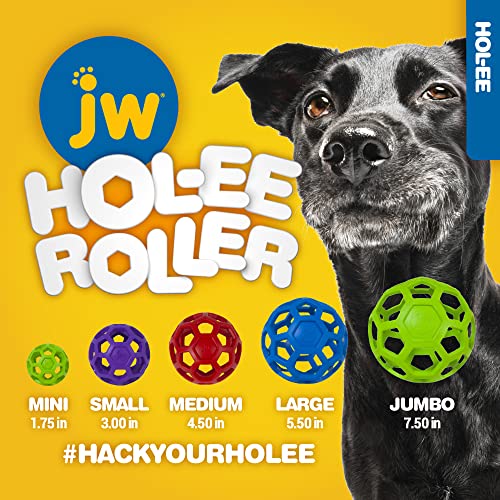 JW Pet Toy in Medium, Assorted
