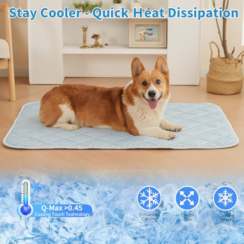 Petvolve Pet Bed Mat in X-Large - 44 x 32 Inch, Sky Blue
