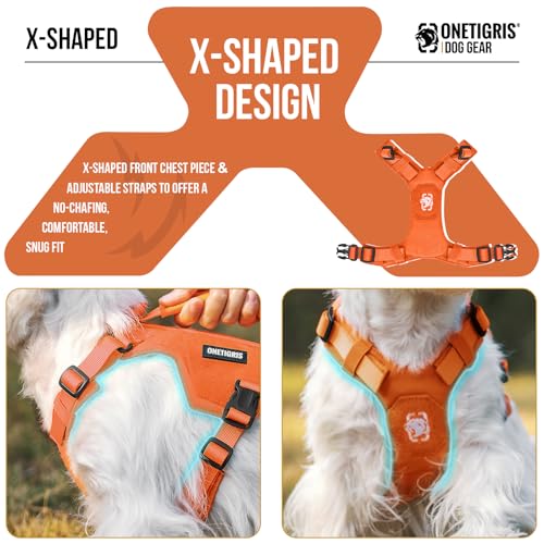 ONETIGRIS Animal Harness in XS, Orange