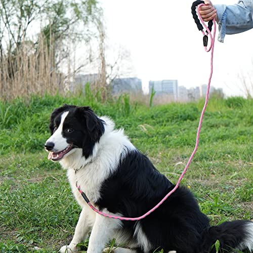 NTR Leash in 15ft*1/3", Pink/Grey