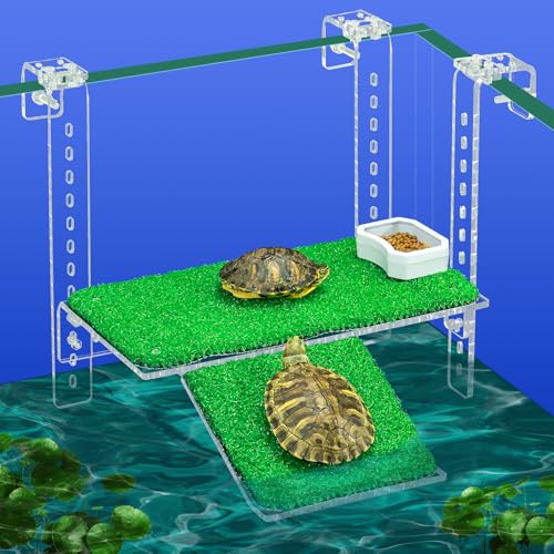 Bluecoco Animal Shelter in 10.8x5.9 Inch, Transparent