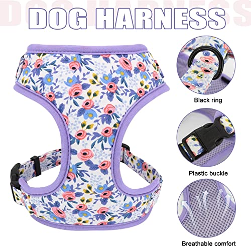 Beirui Animal Harness in XS:Fit 6-12 lbs, Blue