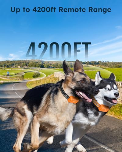 Jugbow Animal Collar in 2 Count (Pack of 1), Orange 2 pack