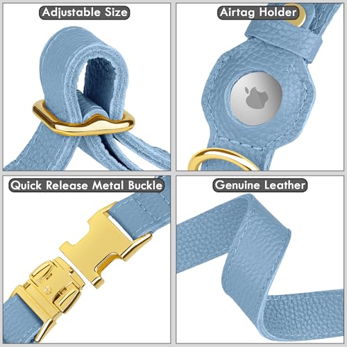 BUDKAS Animal Collar in XS, 9"-12" Neck Fit, Cornflower