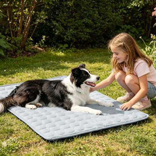 MeiLiMiYu Pet Bed Mat in 28x22 in, Grey