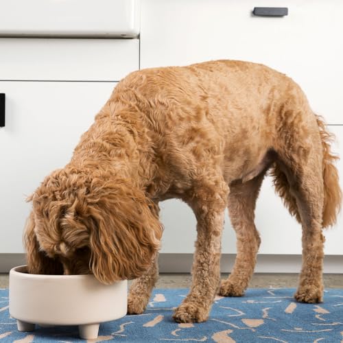 Waggo Pet Feeder in Small, Buttercream