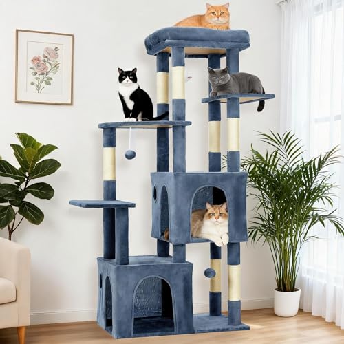 OUTLANE Pet Activity Structure in Light blue, Light Blue
