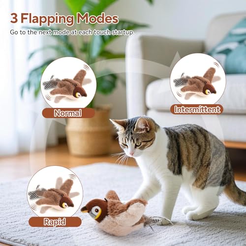 AUSCAT Pet Toy in 3 Colors-CA