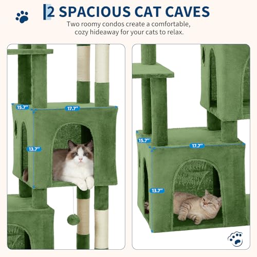 OUTLANE Pet Activity Structure in Green, Green